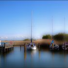 Sommer am Bodden