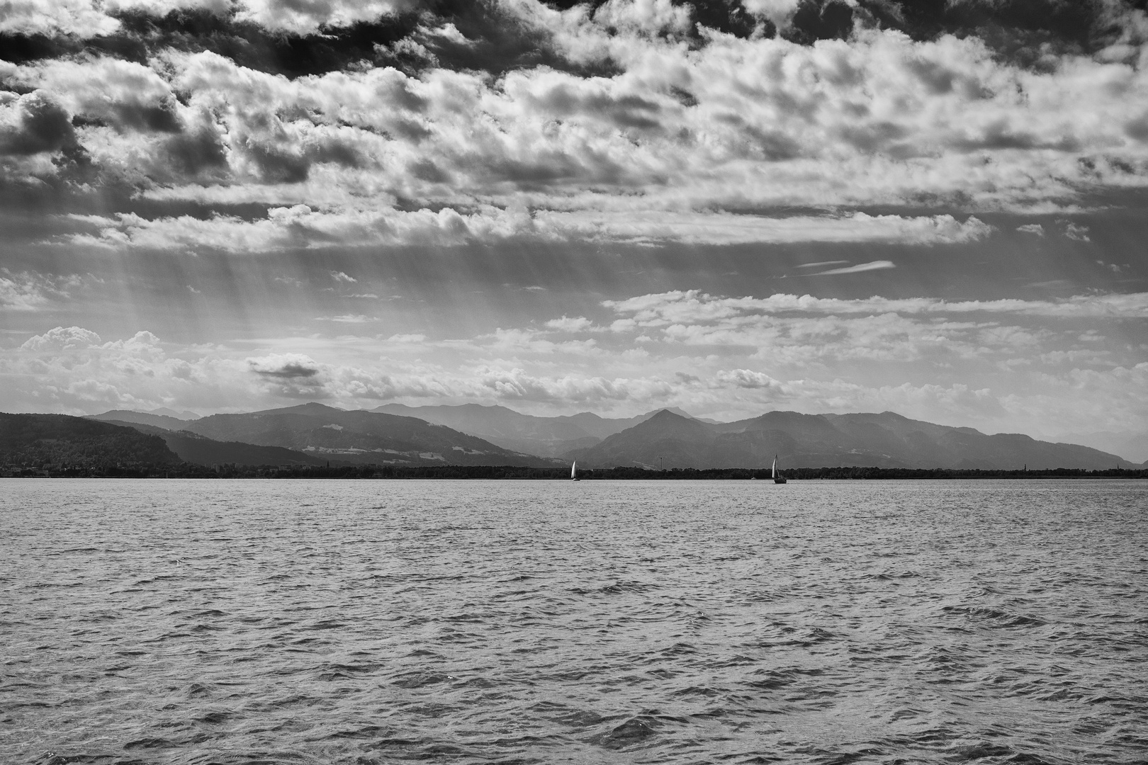 Sommer am Bodensee