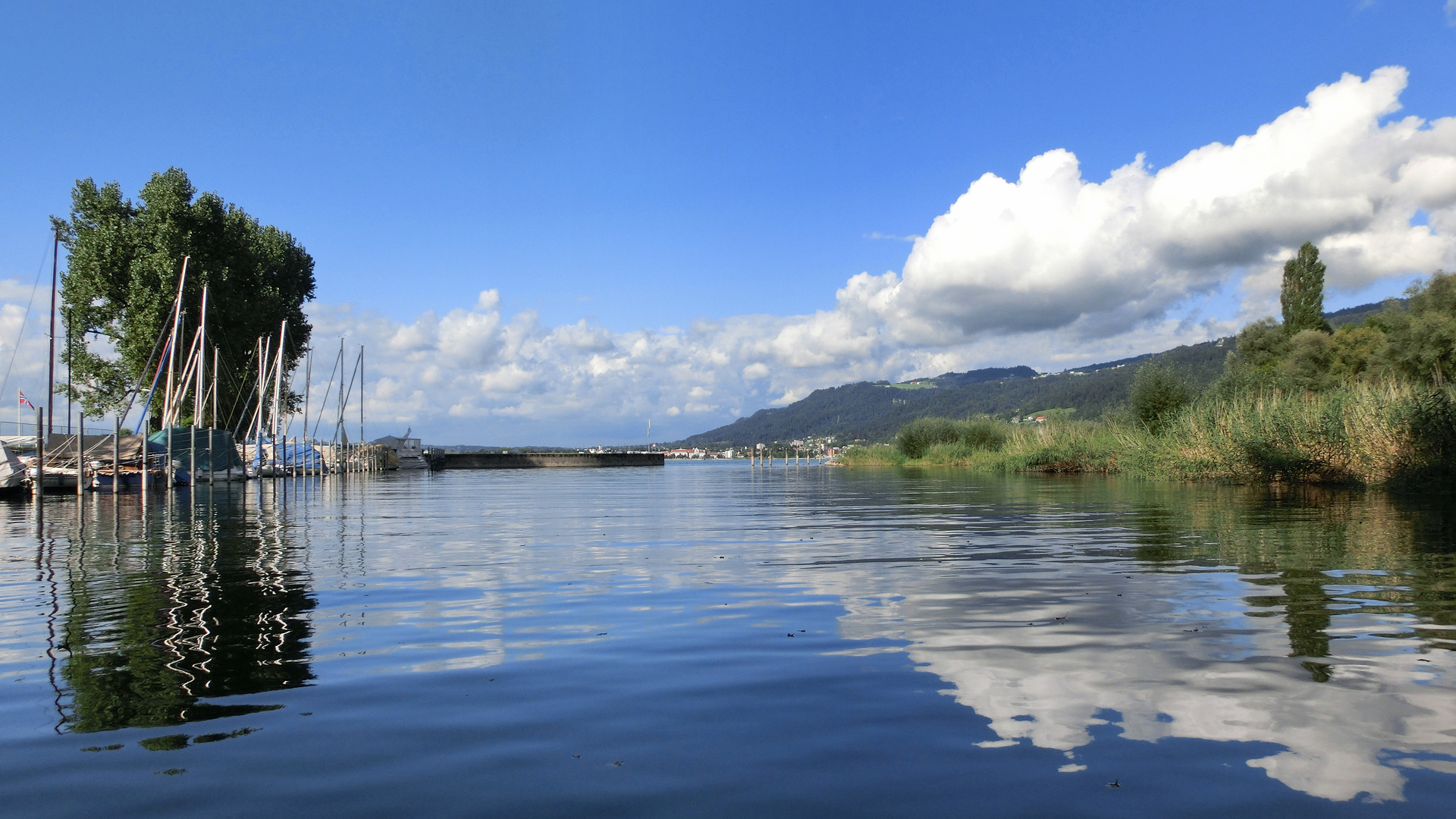 sommer-am-bodensee-foto-bild-bodensee-wasser-himmel-bilder-auf