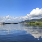 Sommer am Bodensee