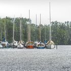 Sommer am Bodensee