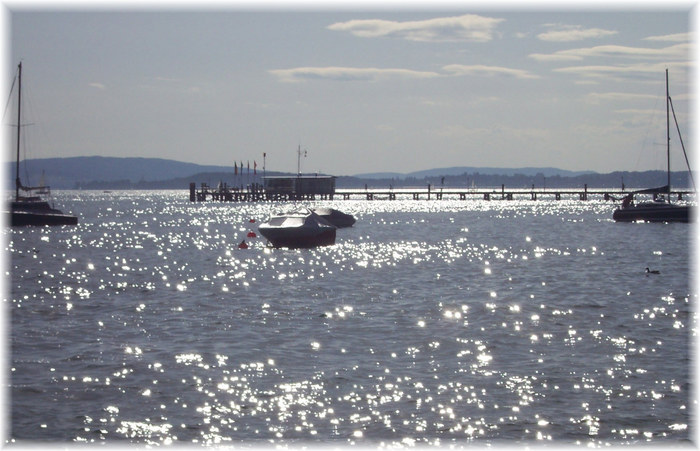 Sommer am Bodensee