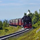 Sommer am Brocken