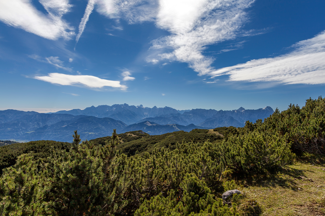 Sommer am Dobratsch