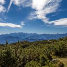 Sommer am Dobratsch