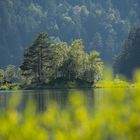 Sommer am Eibsee