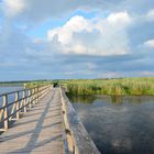 Sommer am Federsee