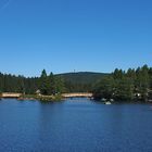 Sommer am Fichtelsee