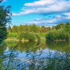 Sommer am Fischteich