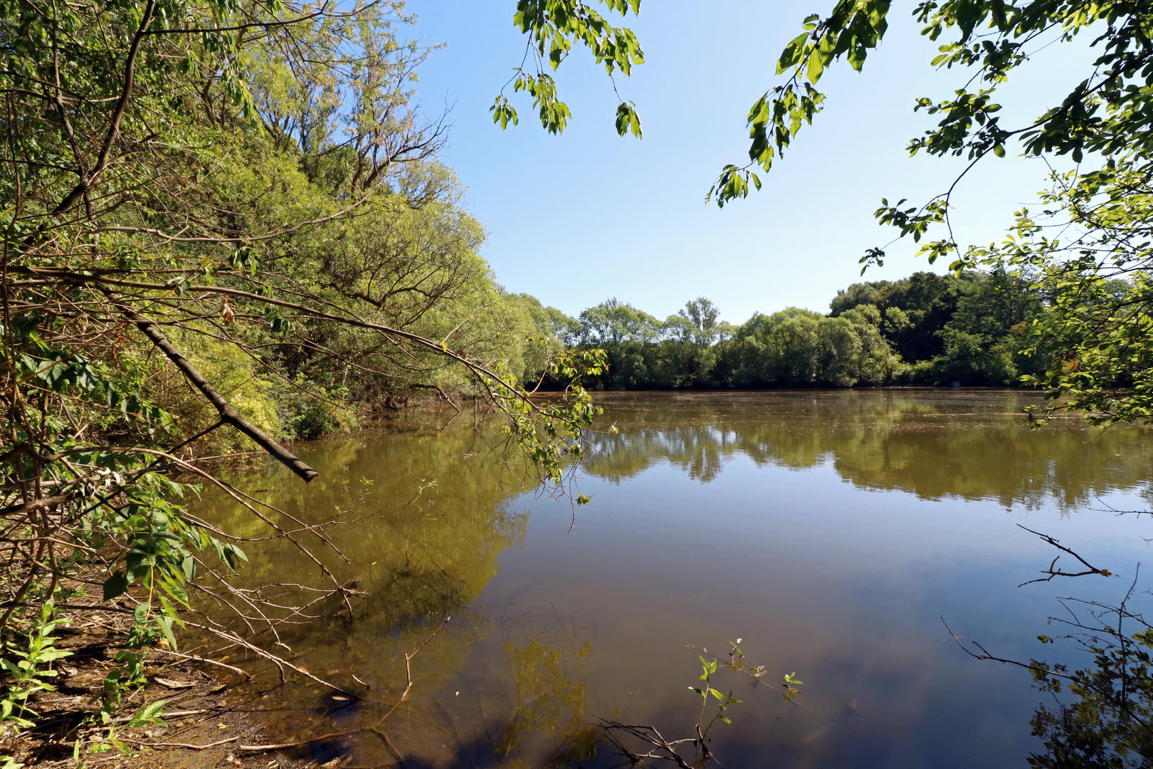 Sommer am Fischteich