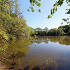 Sommer am Fischteich