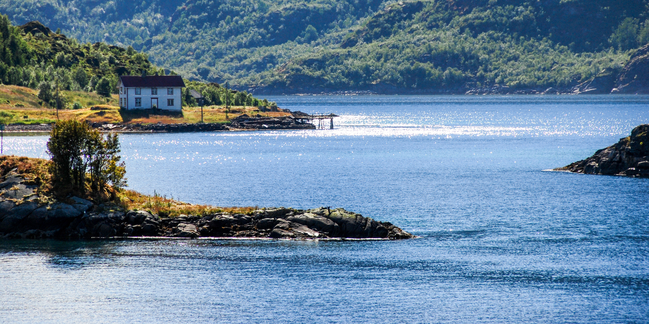 Sommer am Fjord