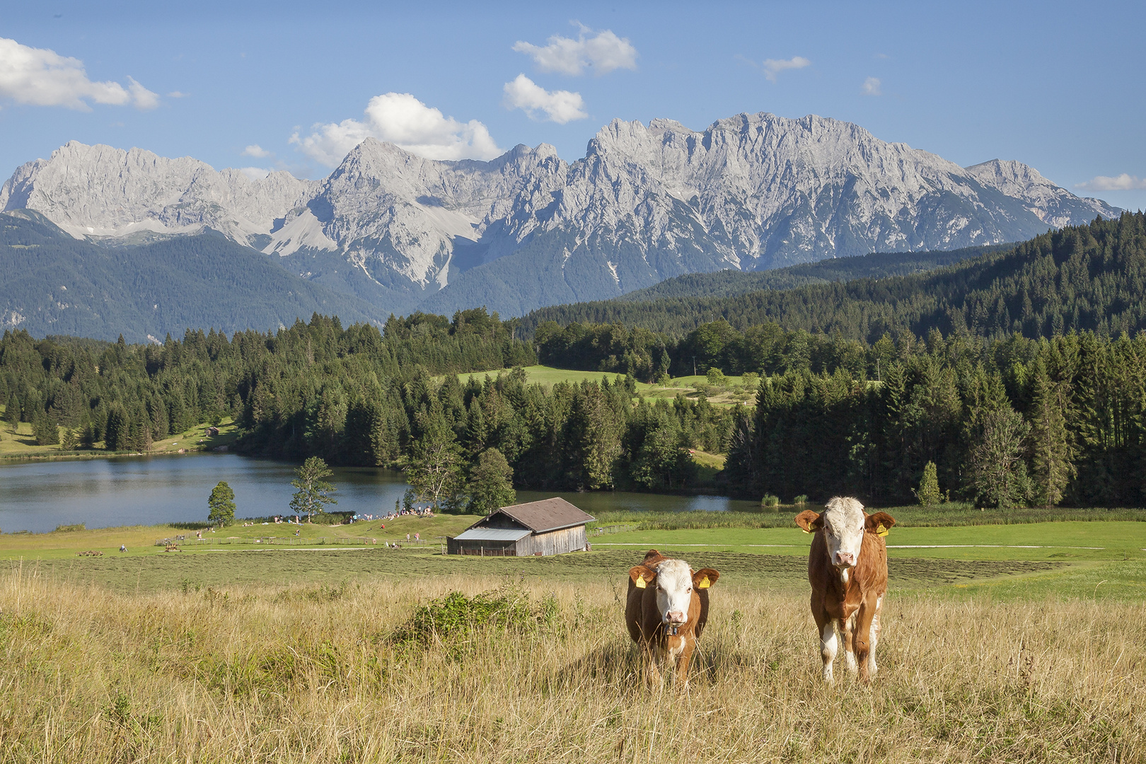 Sommer am Geroldsee