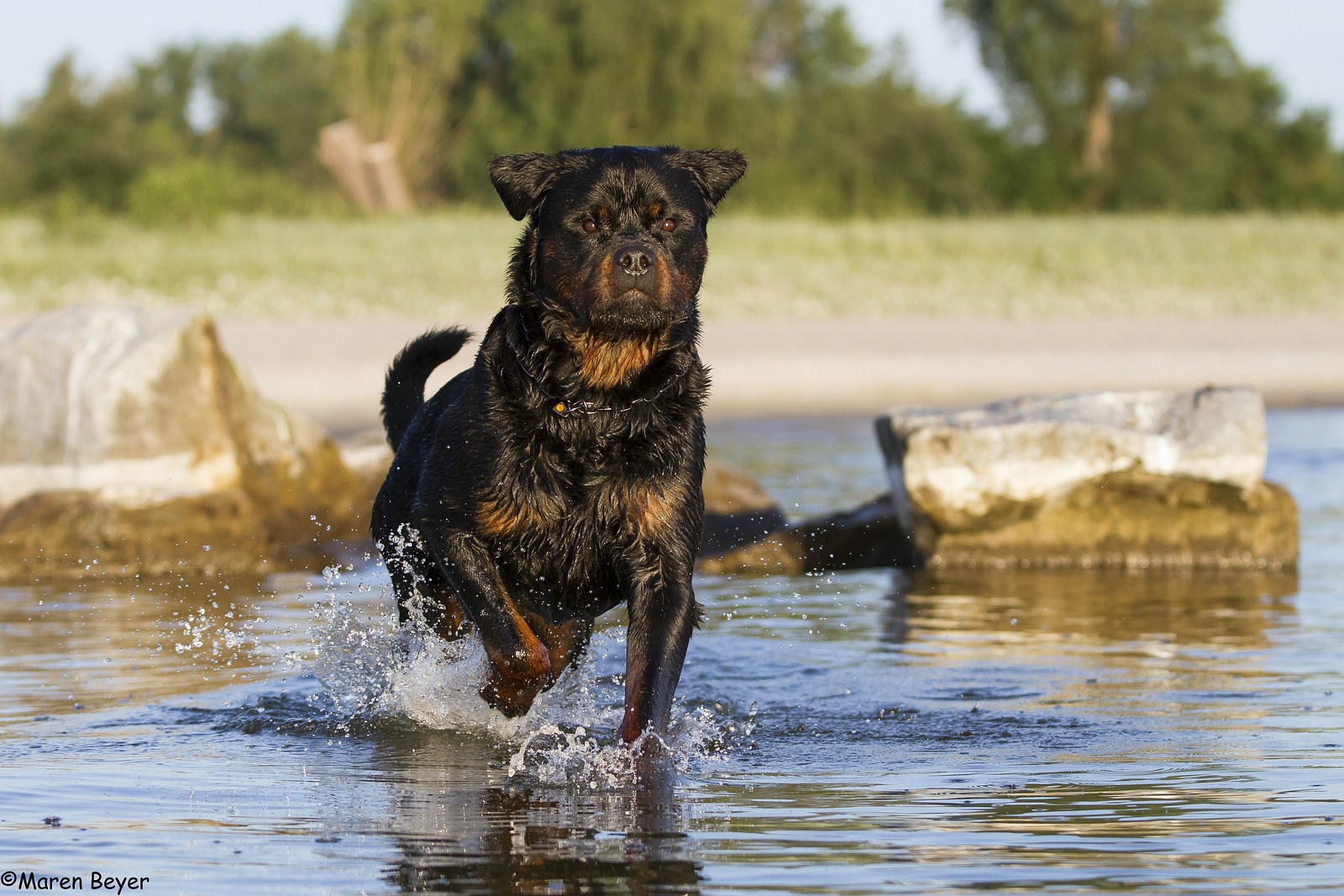 Sommer am Haff