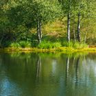 Sommer am Heideteich