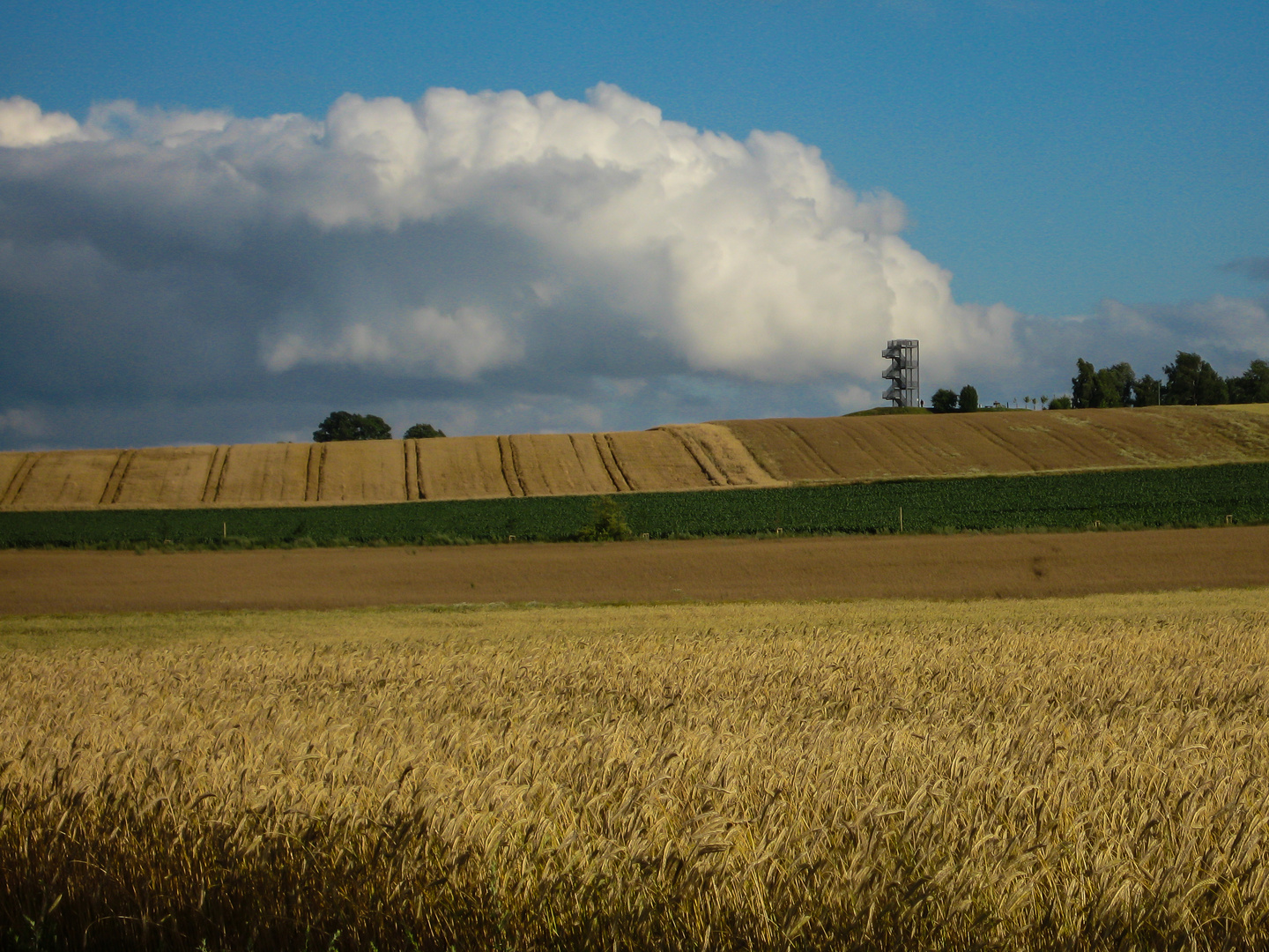 Sommer am Hohen Berg bei Ristedt