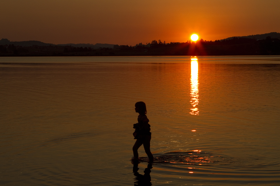 Sommer am Hopfensee