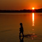 Sommer am Hopfensee