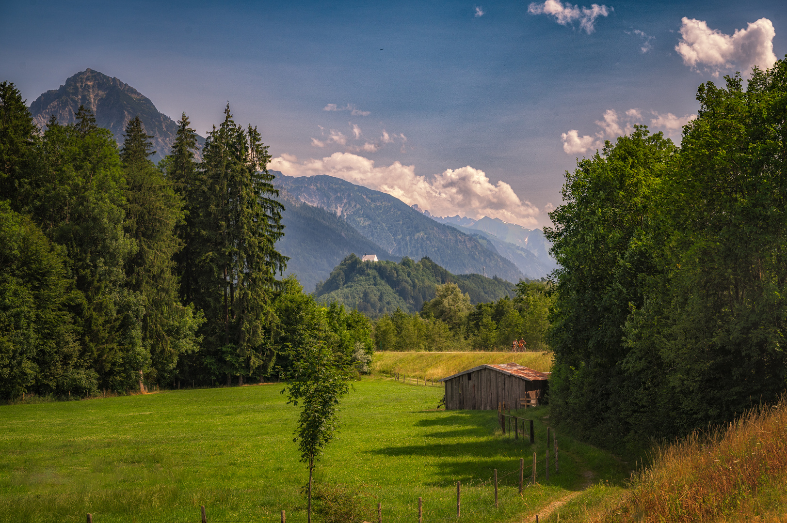 Sommer am Illerdamm 