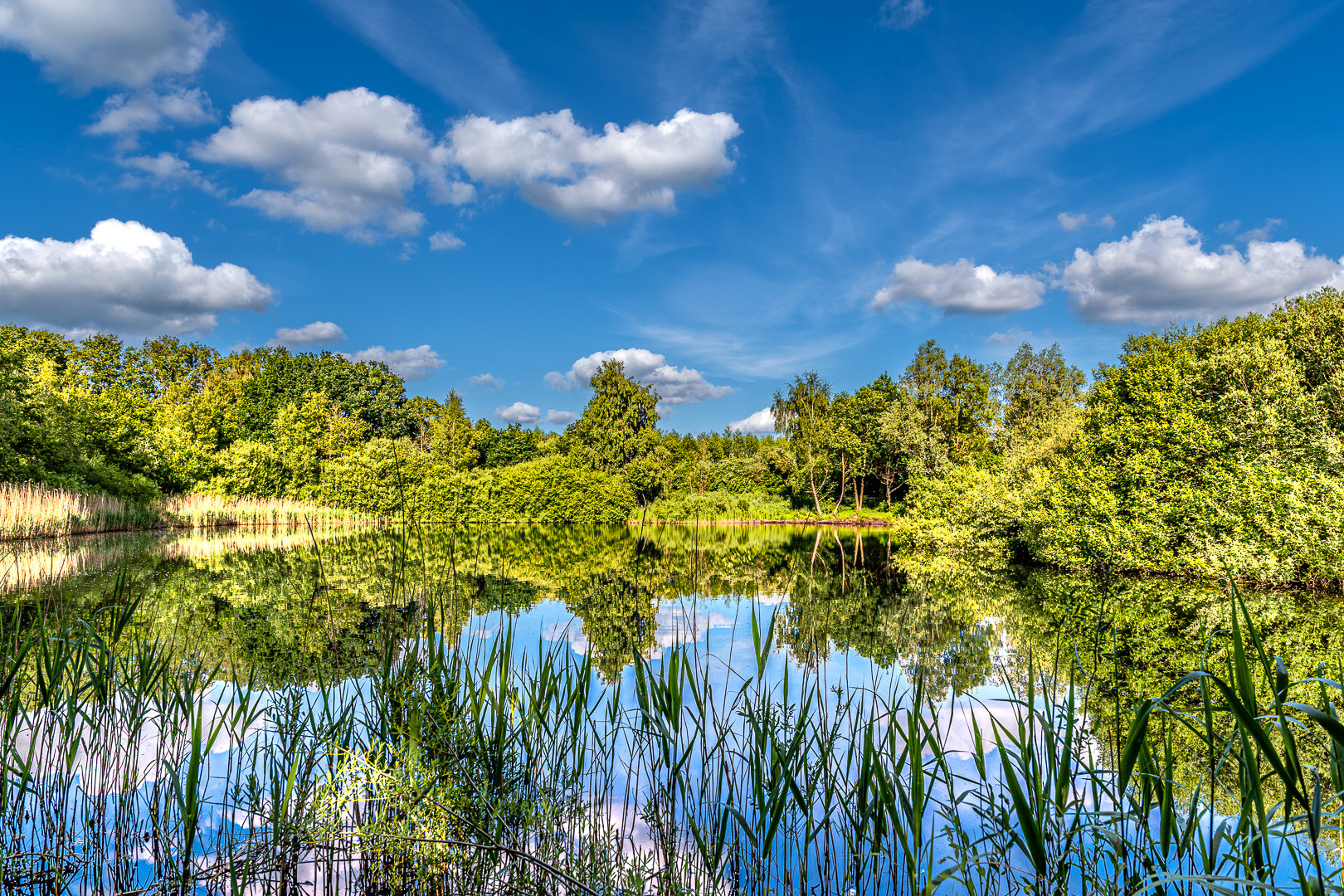 Sommer am Kleinen Bornhorster Foto & Bild jahreszeiten, sommer