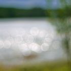 Sommer am Knüllsee II