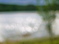 Sommer am Knüllsee II