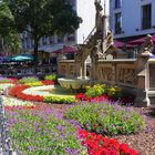 Sommer am Kölner Heinzelmännchenbrunnen