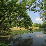 Sommer am Lagesteich