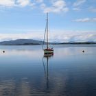 Sommer am Loch Crinan (Argyll, Innere Hebriden)