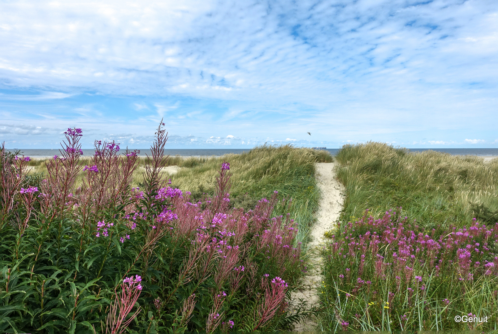 Sommer am Meer