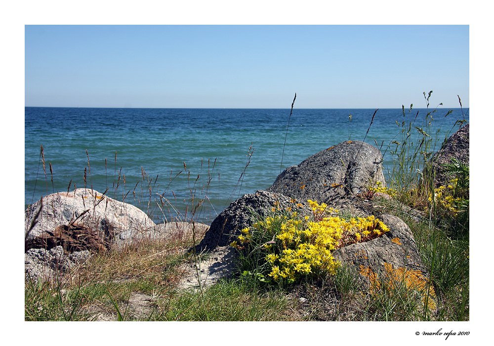 Sommer am Meer