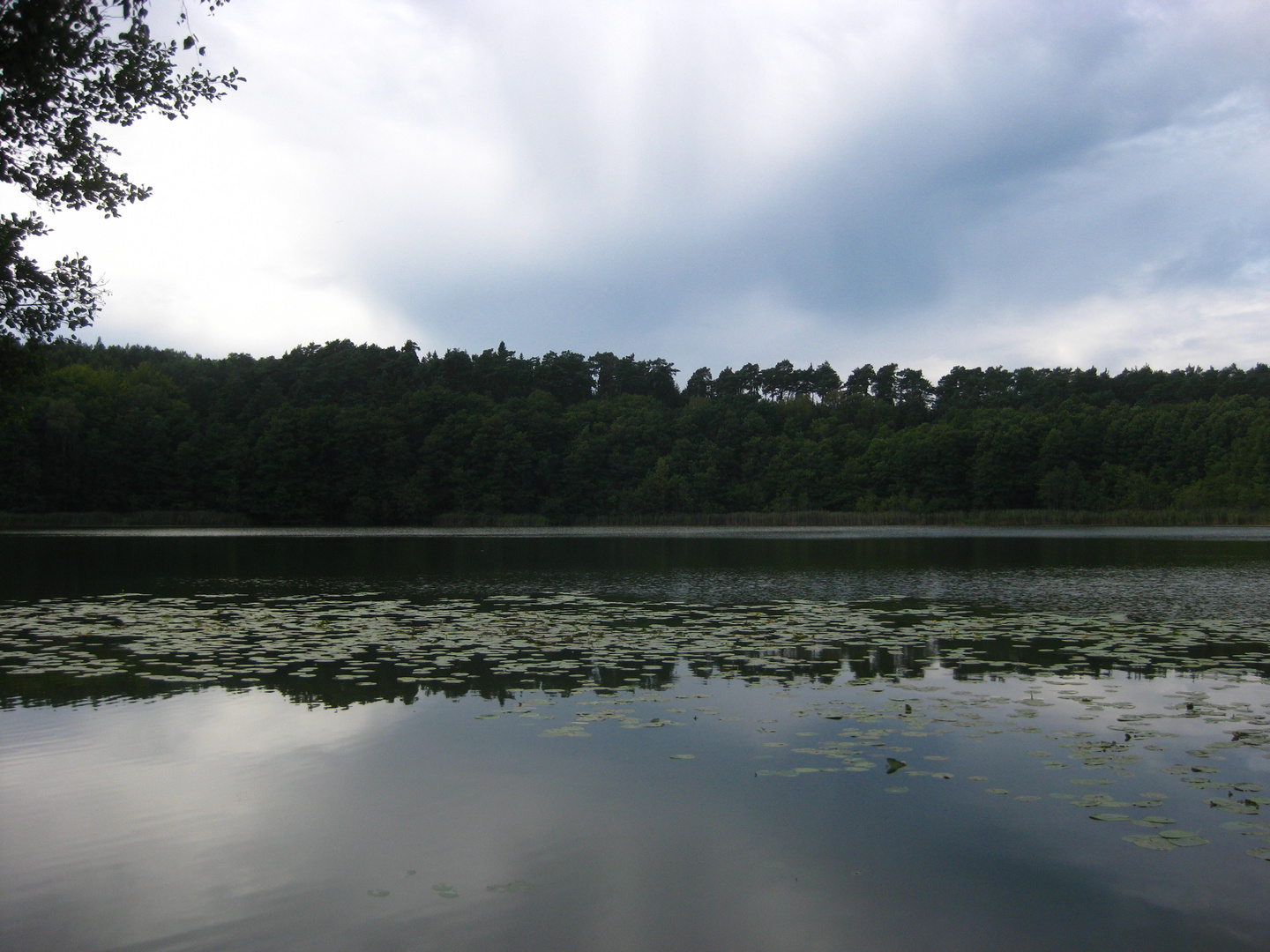 Sommer am Melangesee