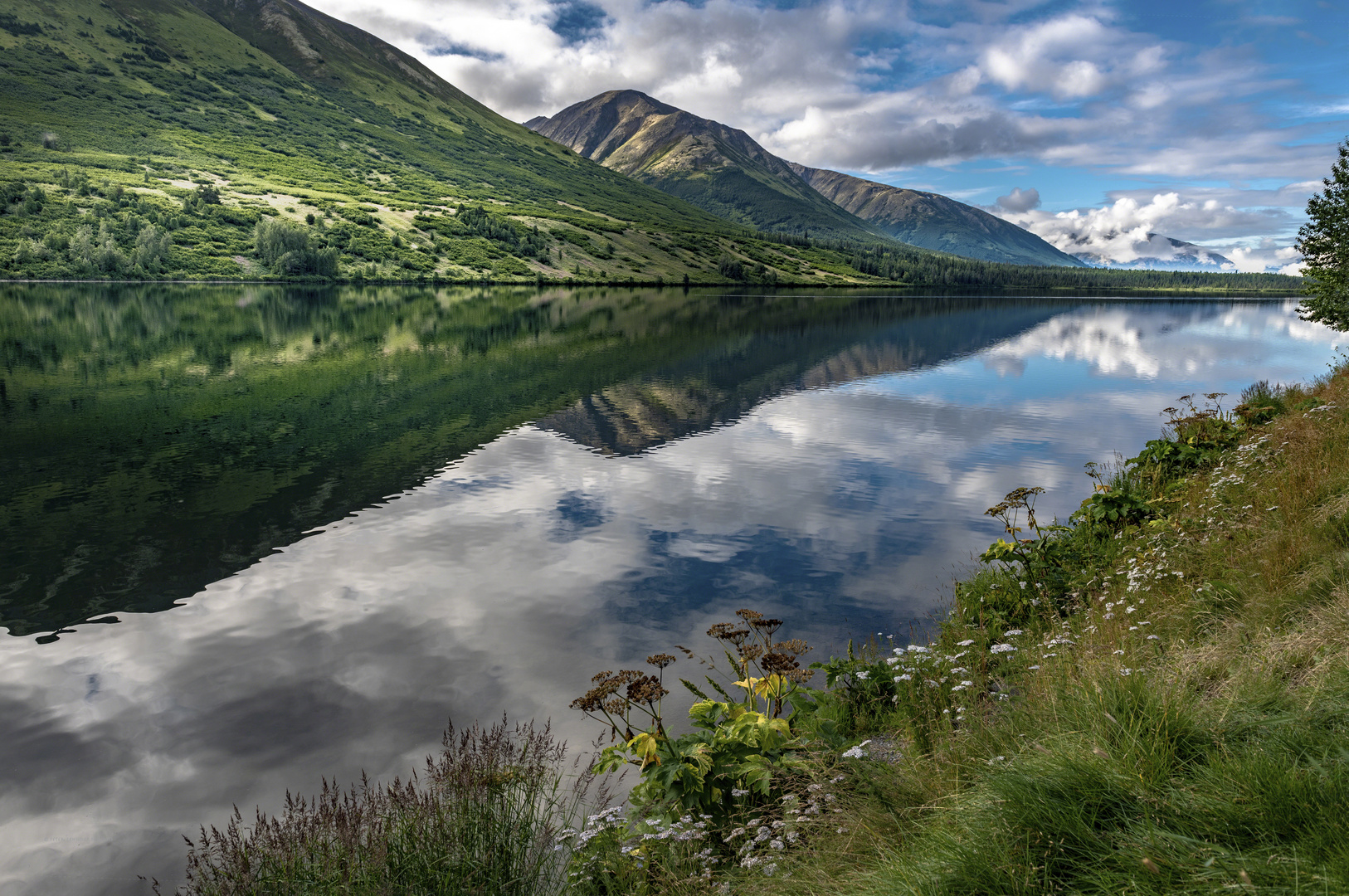 Sommer am Moose Pass in Alaska