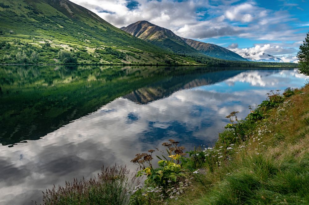 Sommer am Moose Pass in Alaska Foto & Bild north america, united
