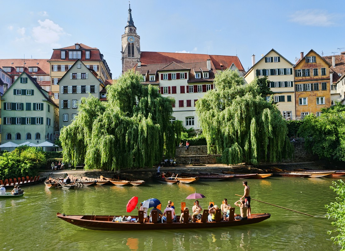 Sommer am Neckar (5)