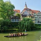 Sommer am Neckar (6)