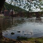 Sommer am Neckar