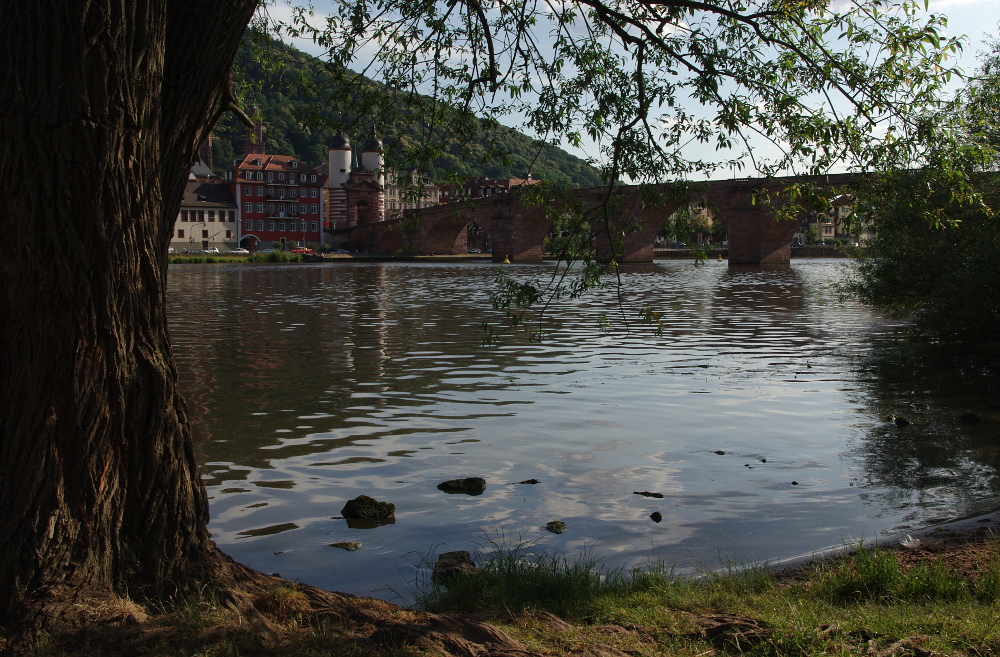 Sommer am Neckar