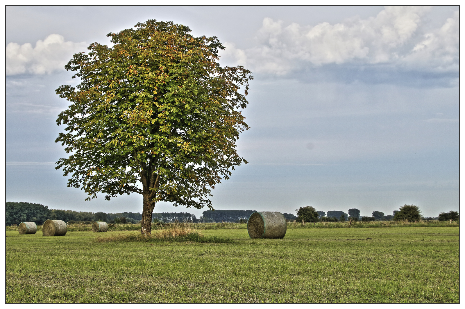 Sommer am Niederrhein