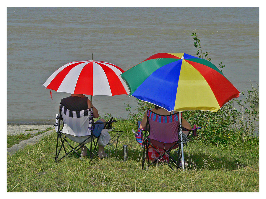 " Sommer am Niederrhein "