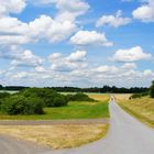 Sommer am Niederrhein