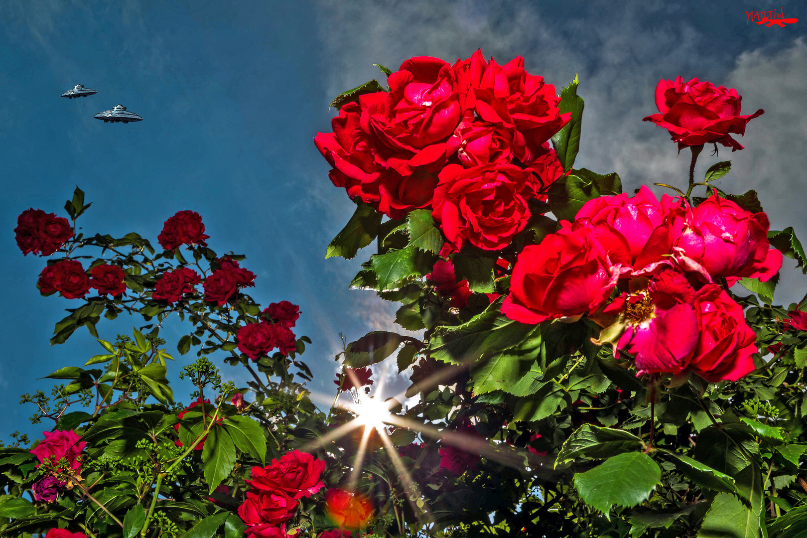 Sommer am Niederrhein