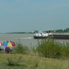 Sommer am Niederrhein II.