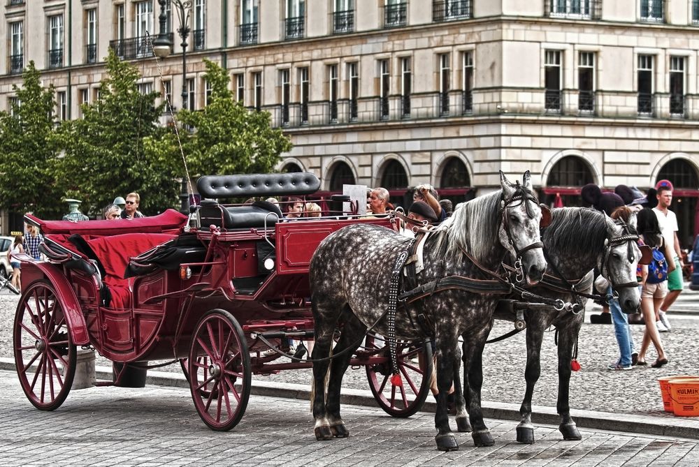 Sommer am Pariser Platz