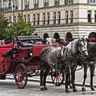 Sommer am Pariser Platz