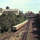 Sommer am Prenzlauer Berg