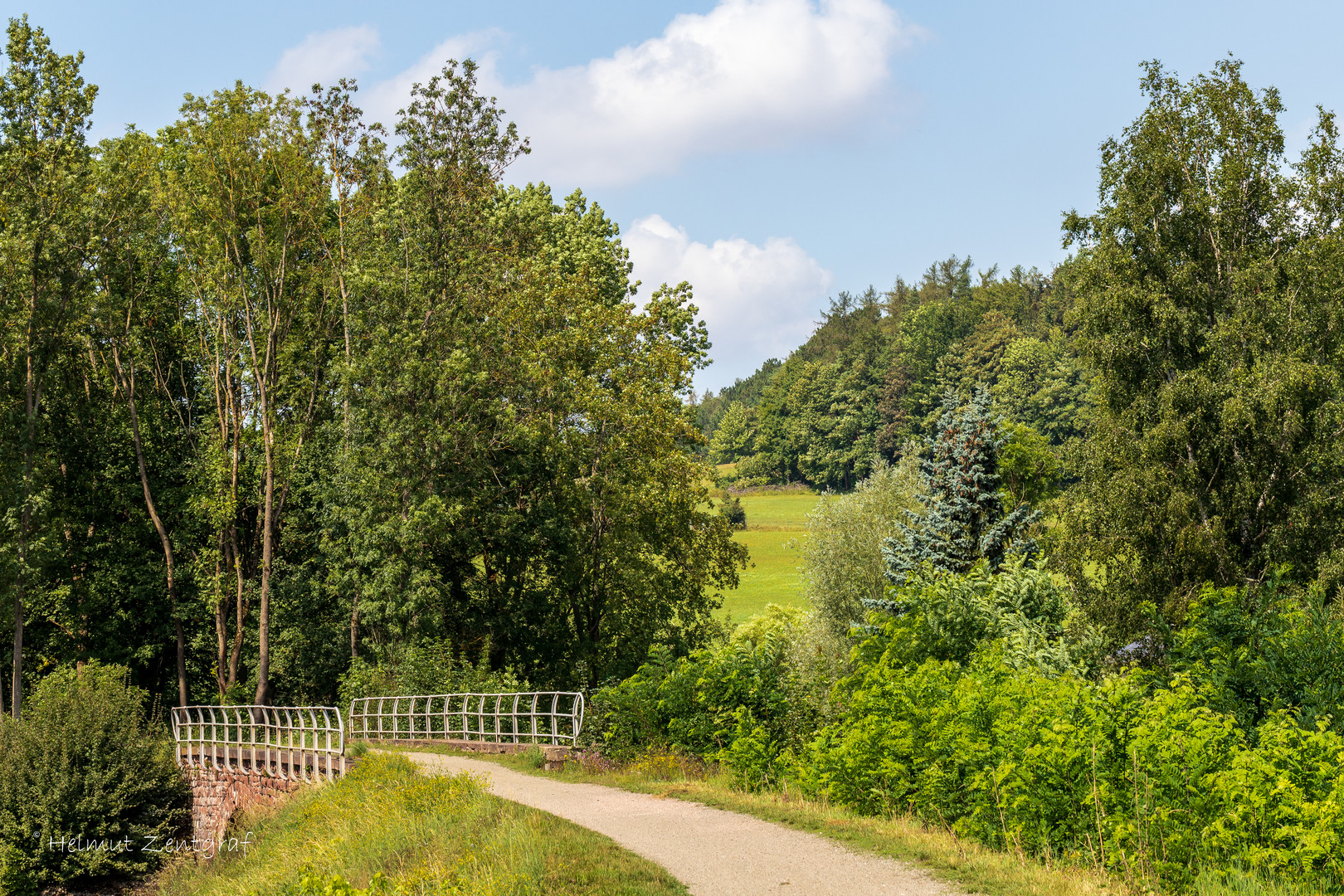 Sommer am Radweg in Schönau v.d.W.