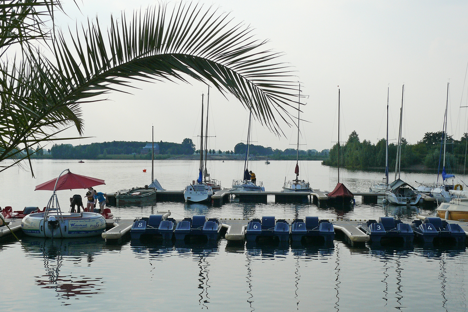 Sommer am Rhein