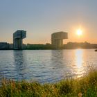 Sommer am Rhein