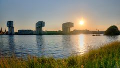 Sommer am Rhein